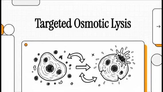 Black-and-white sketch titled Targeted Osmotic Lysis, showing an intact cell and a lysing cell.